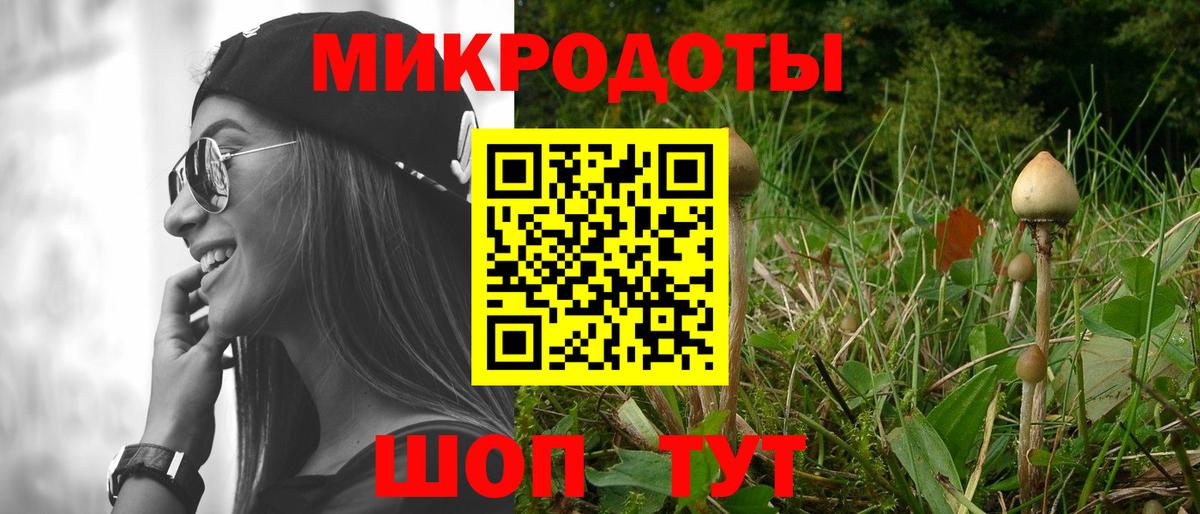 Галлюциногенные грибы Psilocybe  Вход с VPN  Нефтекумск 